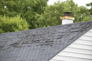 What is a Property Owner’s Duty of Care to Guests?