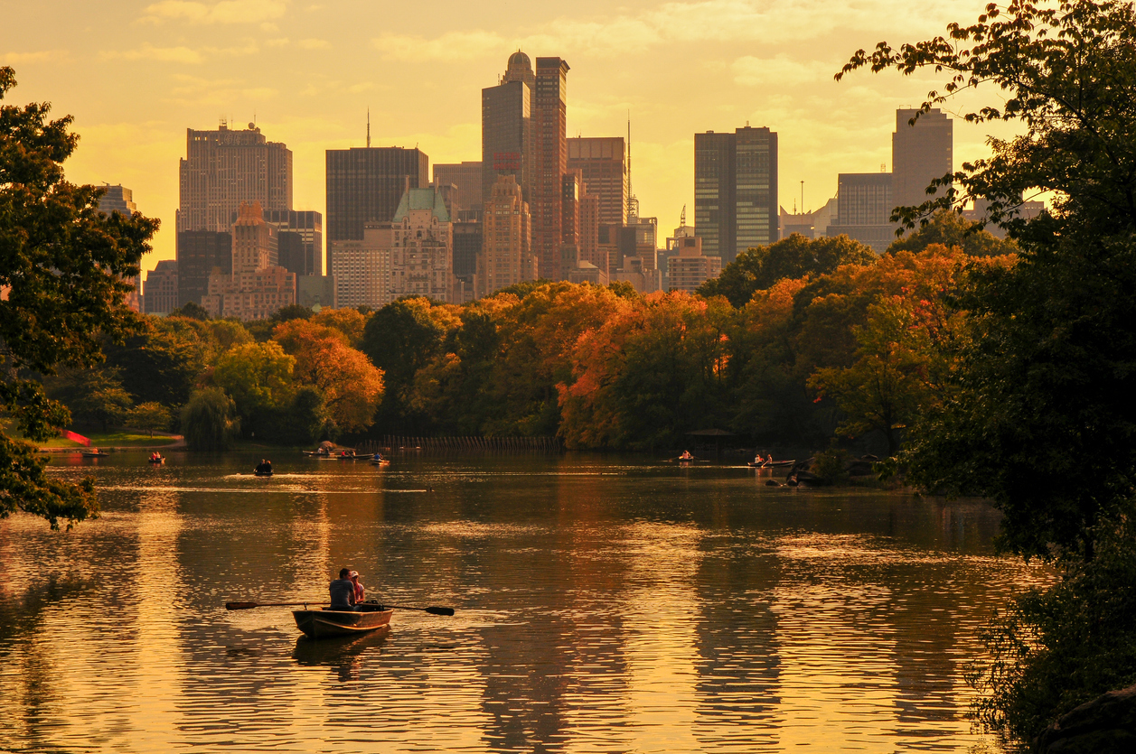 Navigating Insurance Claims for Injuries in Central Park